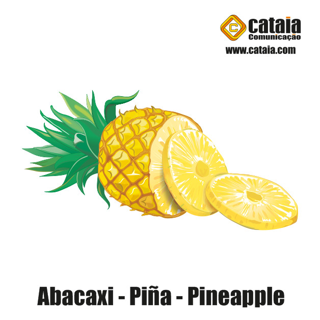 Abacaxi - Piña - Pineapple
