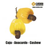 Caju - Anacardo - Cashew