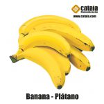 Banana - Plátano
