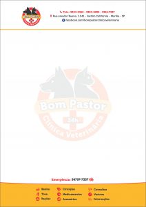 Papel Timbrado - Bom Pastor